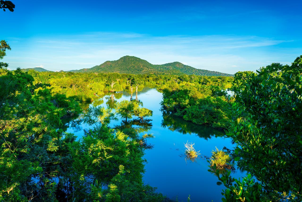 Hotel Kulu Safaris Yala Zewnętrze zdjęcie